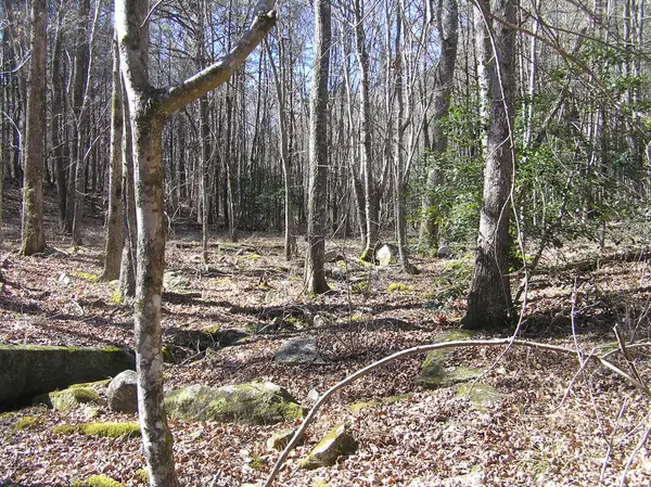 151c Indian Trails Drive #60, Spencer, TN 38585