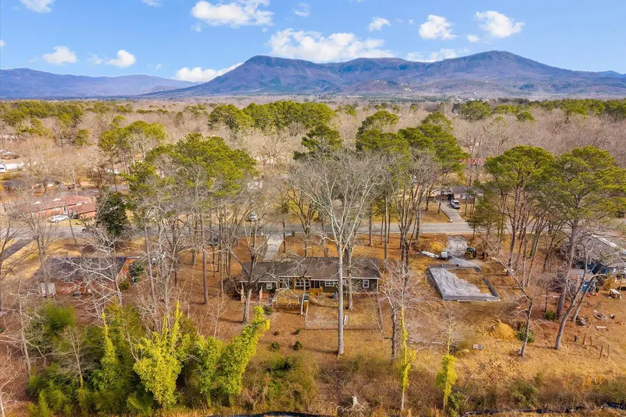 305 Charles Road, Chatsworth, GA 30705 - #2