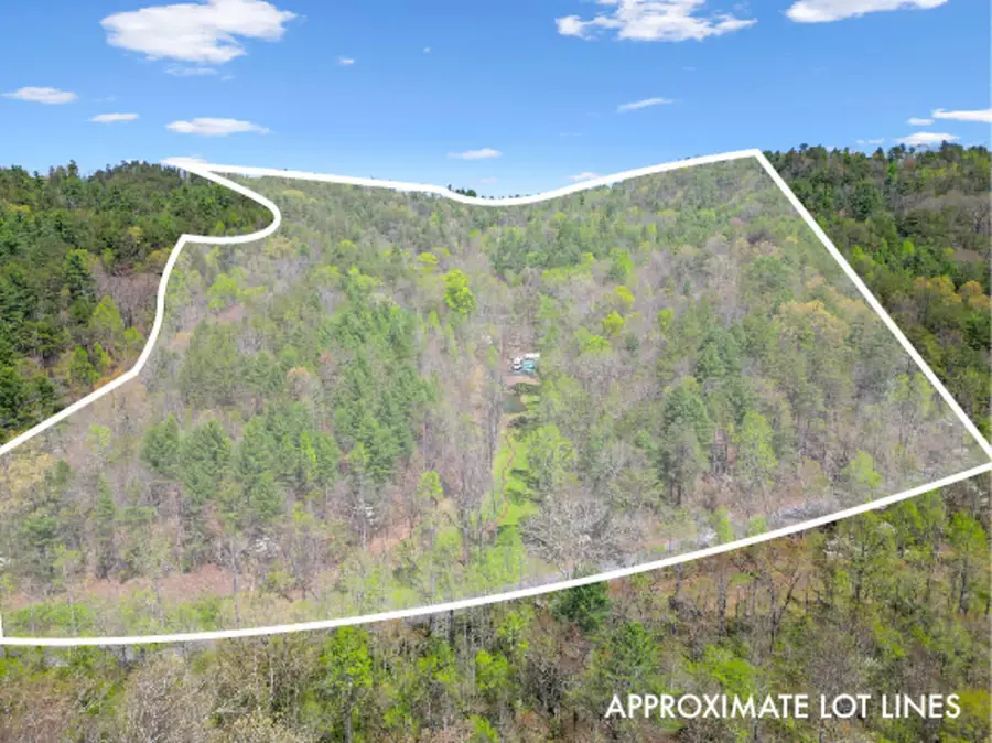 677 Kimsey Mountain Highway, Reliance, TN 37369 - Image #2