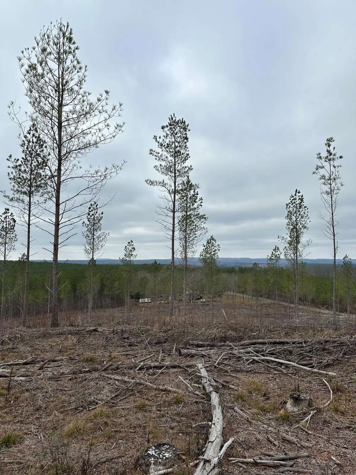 Tract 25 Thomas Springs Road #25, Crossville, TN 38572 - #1