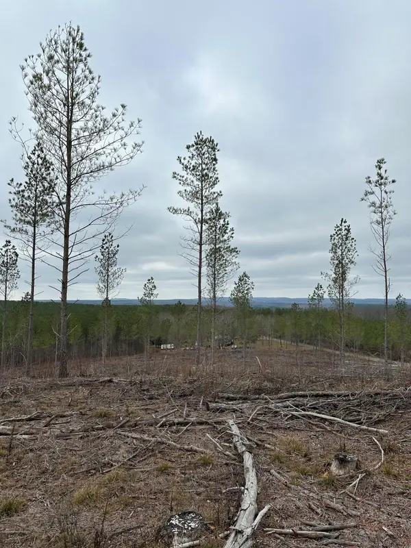 Tract 25 Thomas Springs Road #25, Crossville, TN 38572