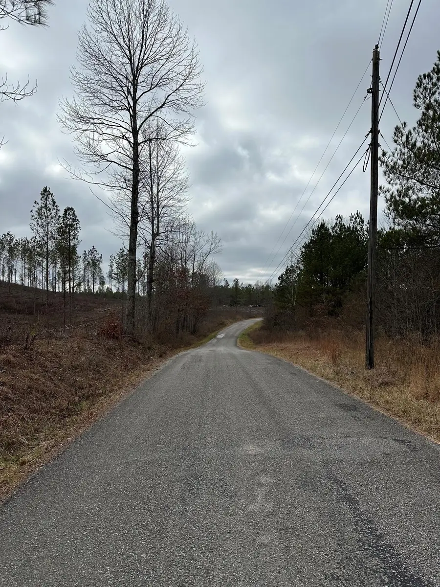 Tract 25 Thomas Springs Road #25, Crossville, TN 38572 - #3