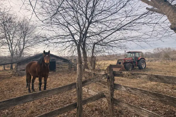 0 County Road 800, Flat Rock, AL 35966