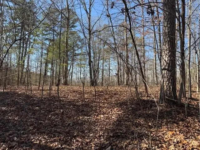 Tract 1 South Pittsburg Mountain #Tract 1, South Pittsburg, TN 37380 - #2