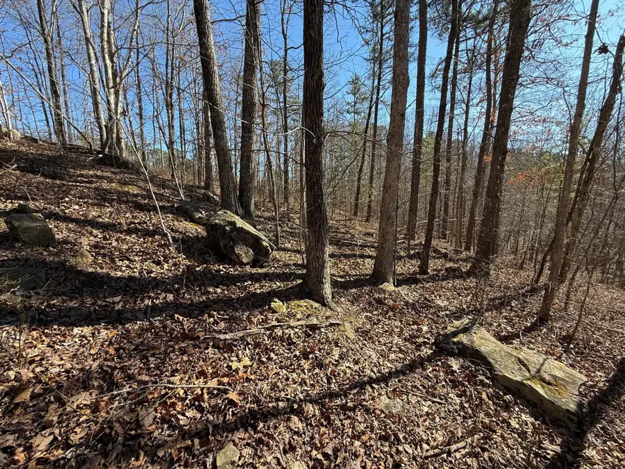 Tract 2 South Pittsburg Mtn Road #Tract 2, South Pittsburg, TN 37380 - #2