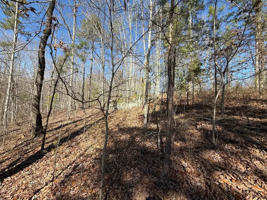 Tract 2 South Pittsburg Mtn Road #Tract 2, South Pittsburg, TN 37380 - #3