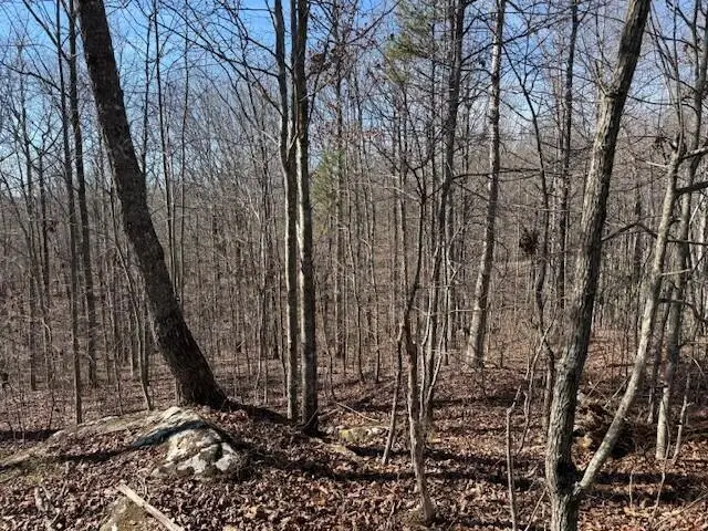 Tract 3 South Pittsburg Mountain #Tract 3, South Pittsburg, TN 37380 - #2