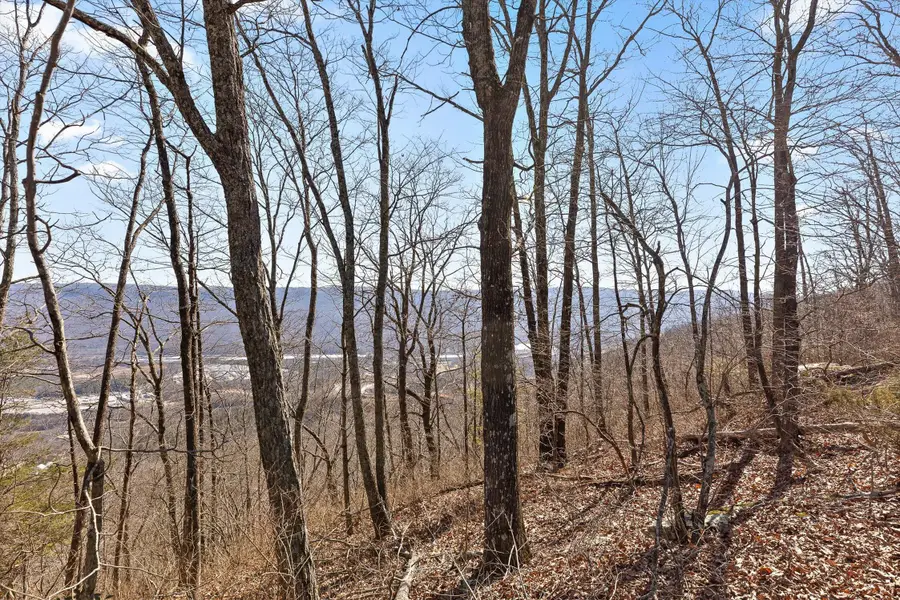 4233 Amethyst Road #Homesite 807, Chattanooga, TN 37419 - #3