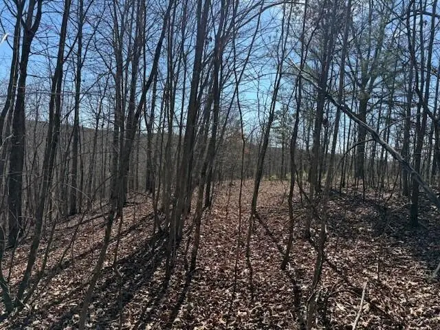 Tract 4 South Pittsburg Mountain #Tract 4, South Pittsburg, TN 37380 - #1