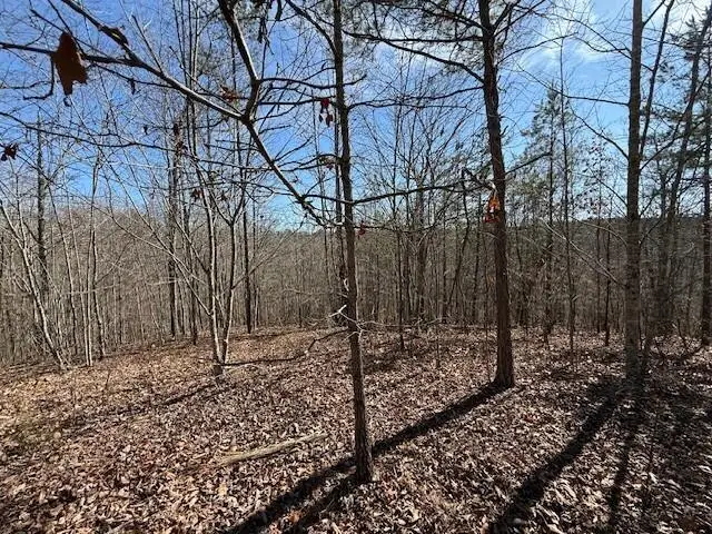 Tract 4 South Pittsburg Mountain #Tract 4, South Pittsburg, TN 37380 - #2