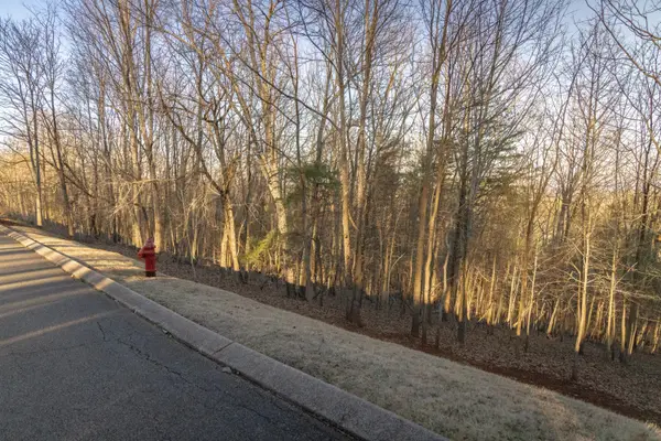 8820 Balata Drive, Ooltewah, TN 37363