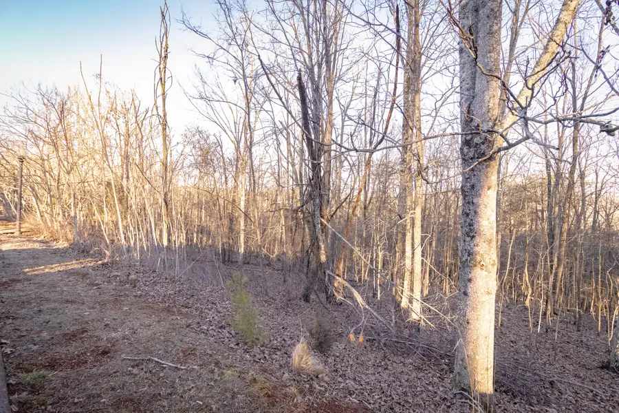 8820 Balata Drive, Ooltewah, TN 37363 - #2