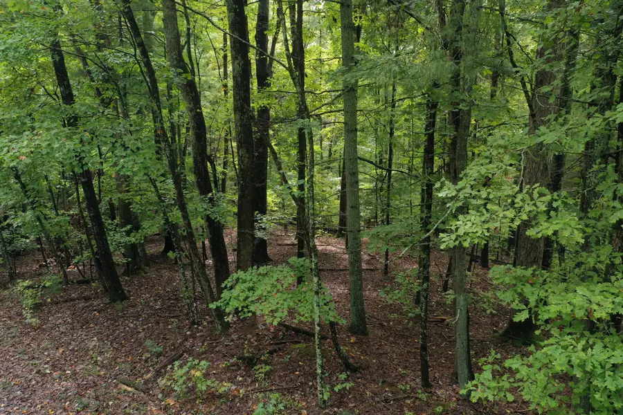 0 Fawnwood, Spring City, TN 37381 - #3