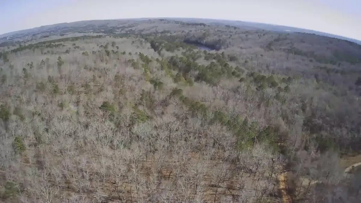 3820 Nebula Road, Manchester, GA 31816 - #1