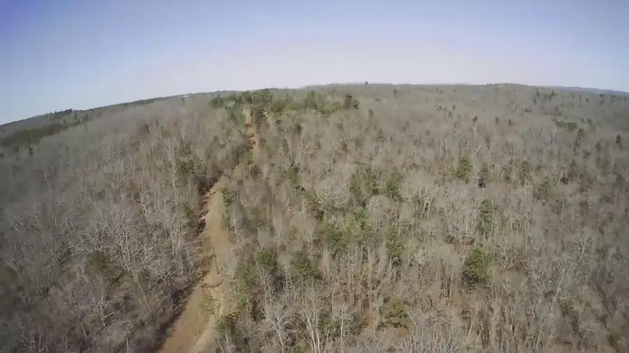 3820 Nebula Road, Manchester, GA 31816 - #3