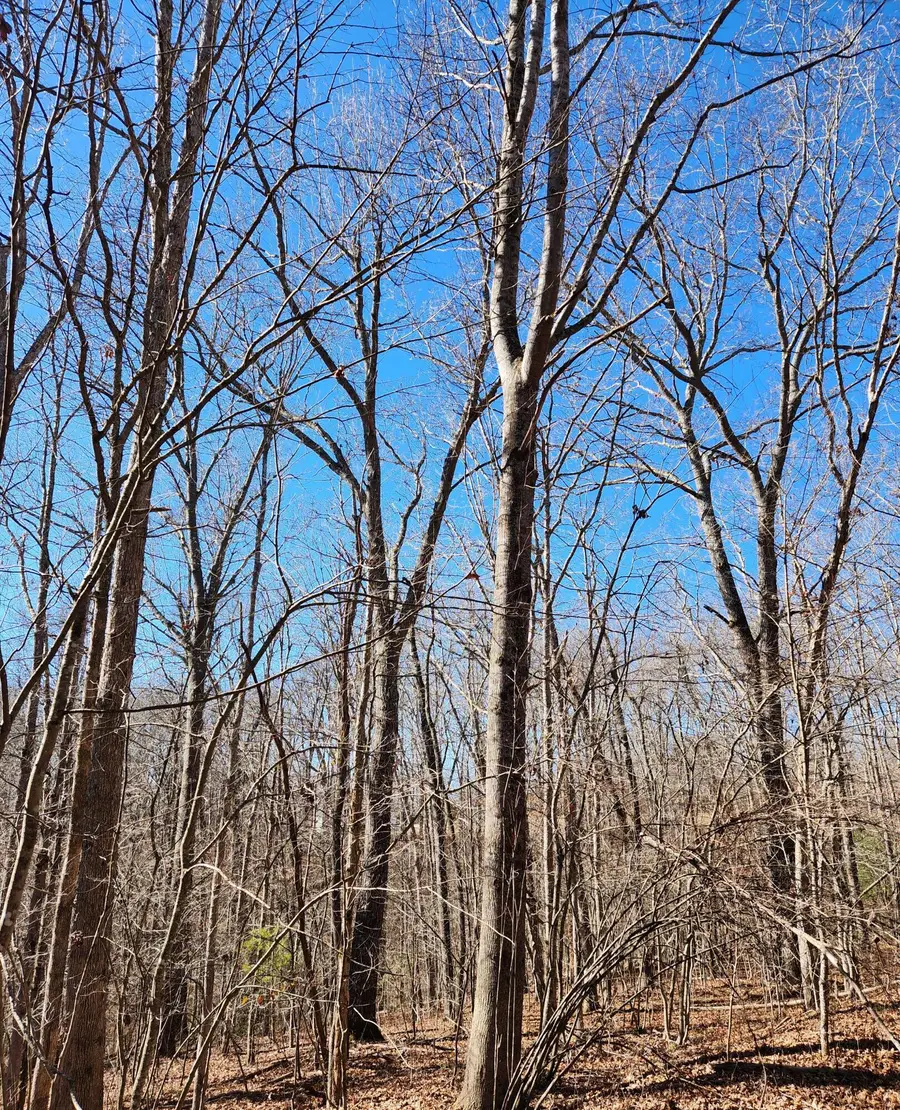 20 Devon Loop #20, Crossville, TN 38558 - #2