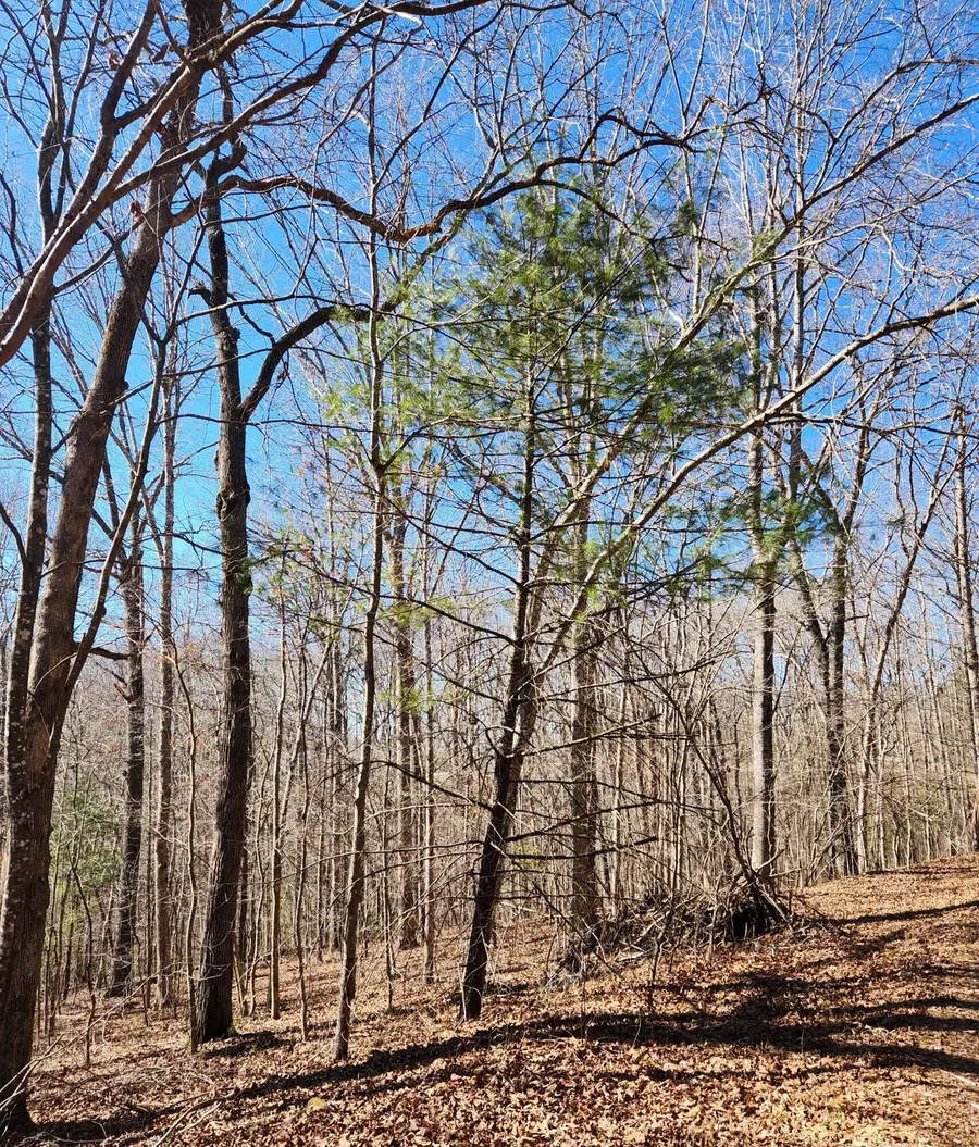 20 Devon Loop #20, Crossville, TN 38558 - #3