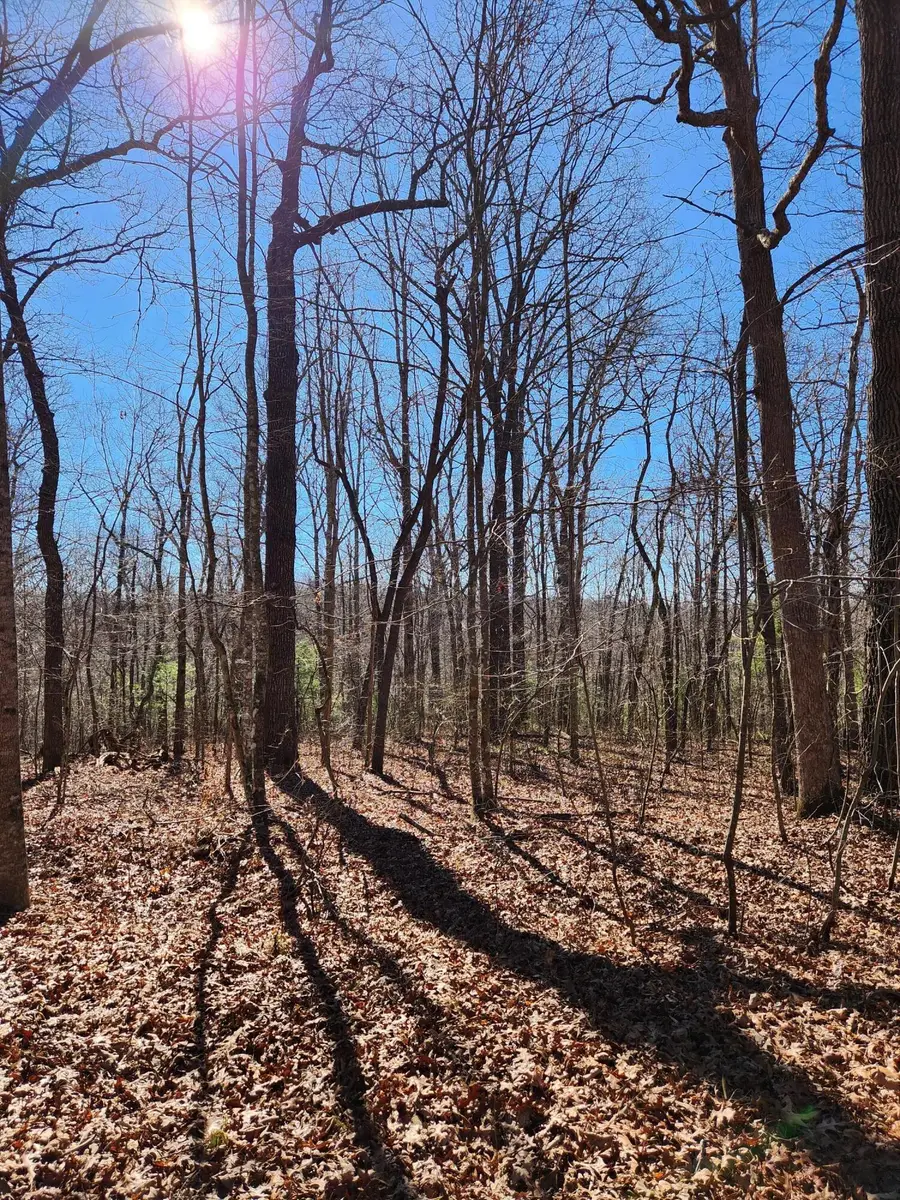 22 Devon Loop #22, Crossville, TN 38558 - #2