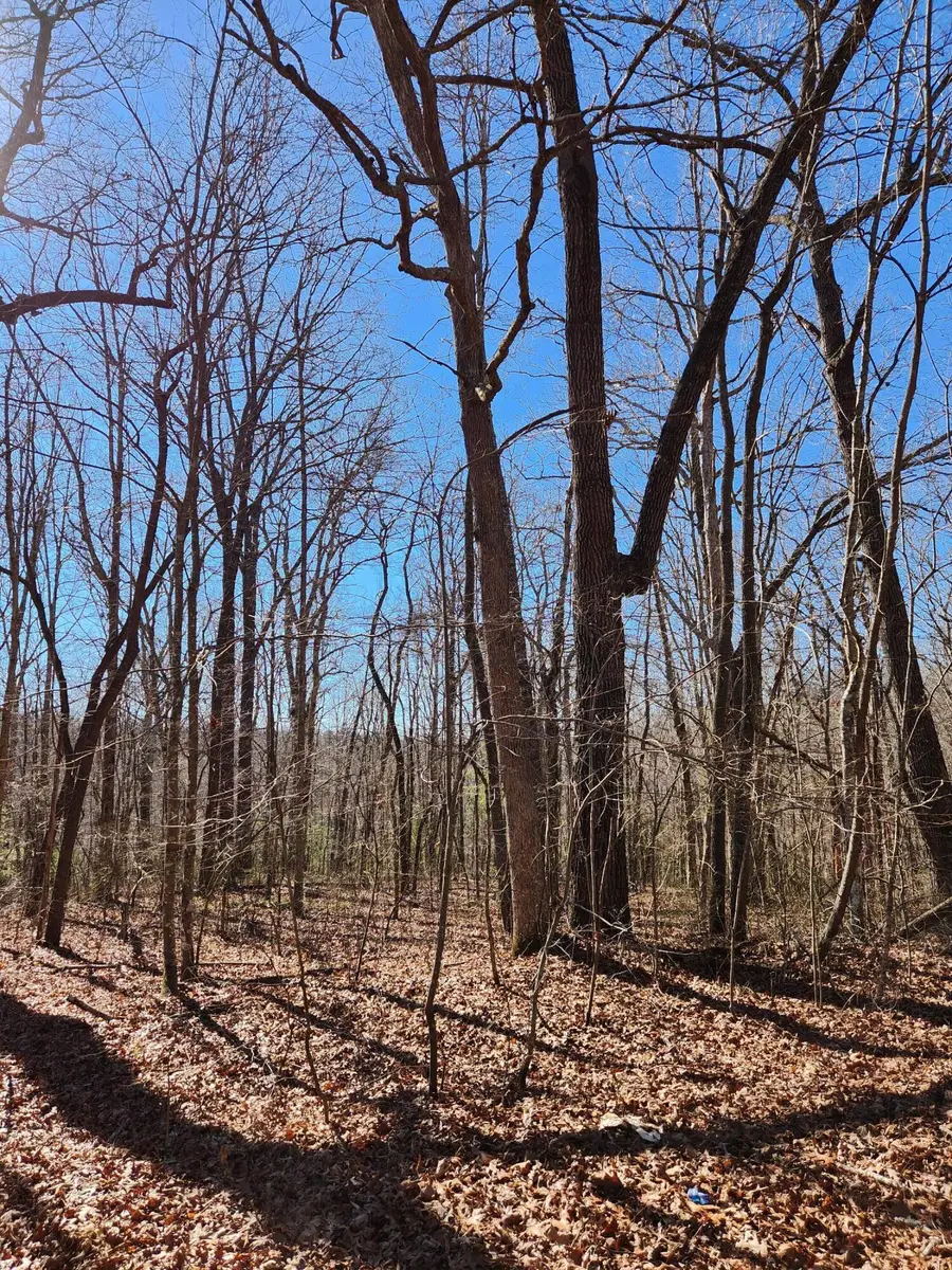 22 Devon Loop #22, Crossville, TN 38558 - #3