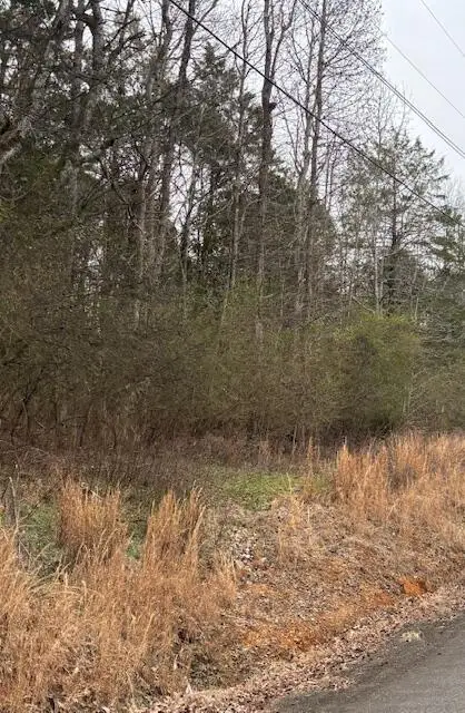 0 Sugar Tree Trail, Birchwood, TN 37308 - #2