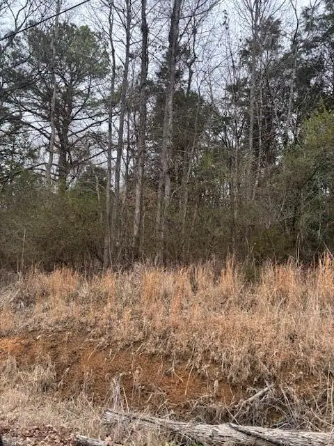 0 Sugar Tree Trail, Birchwood, TN 37308 - #3