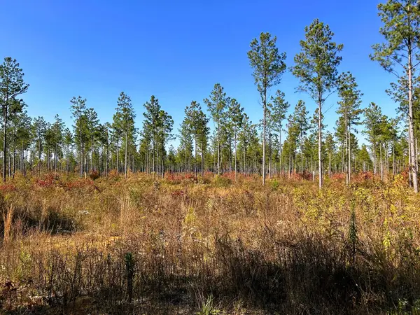 Tract 12 Hughes Lake Road Se, Cleveland, TN 37323