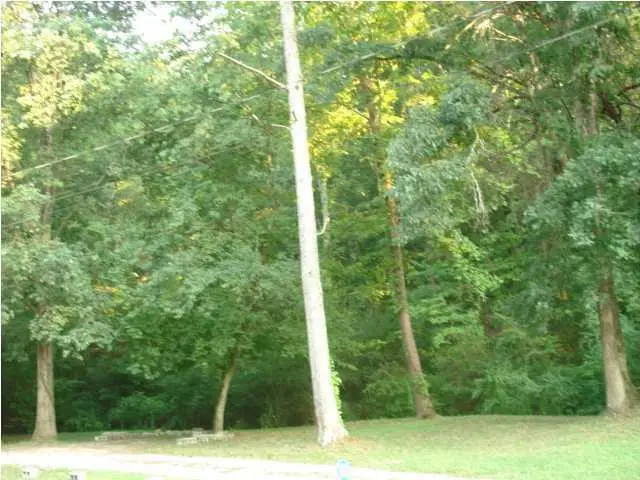 00 Johnny Street, Chattanooga, TN 37406 - #2