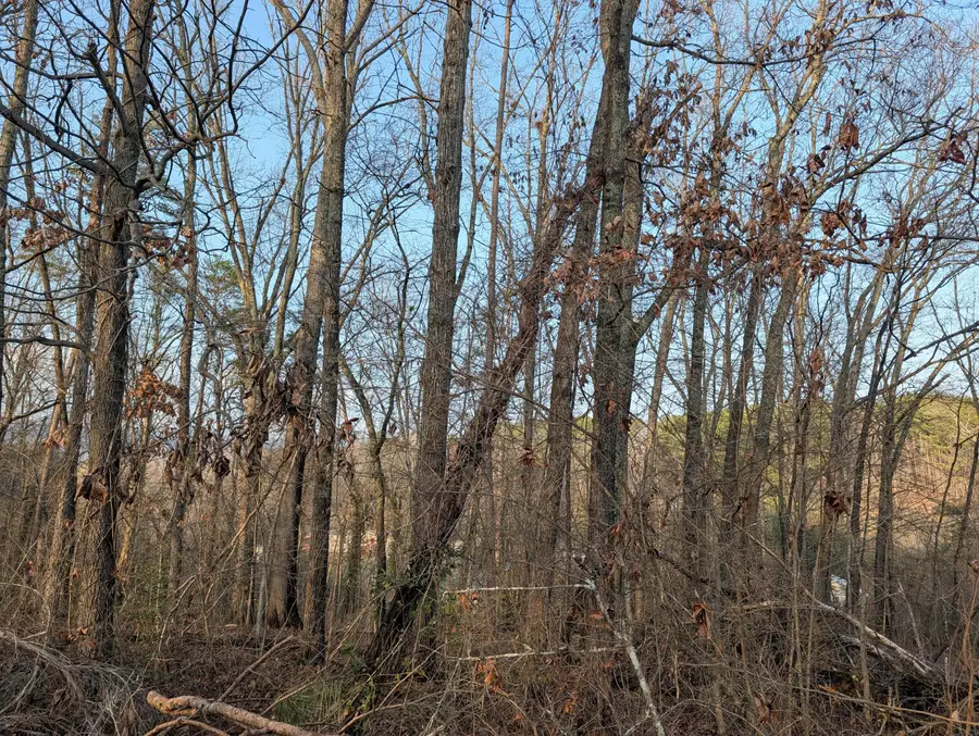 0 Pine Breeze Circle #Lot 2, Rockwood, TN 37854 - #2
