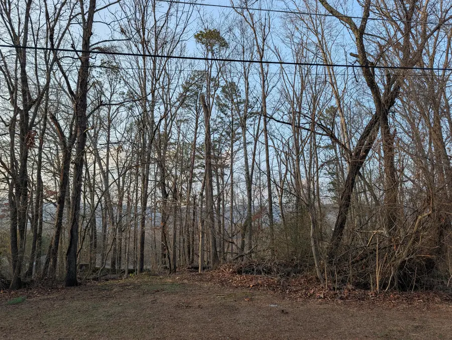 000 Pine Breeze Circle #Lot 7, Rockwood, TN 37854 - #2