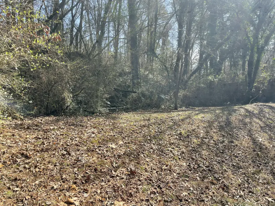 3426 Vinewood Drive, Chattanooga, TN 37406 - #3