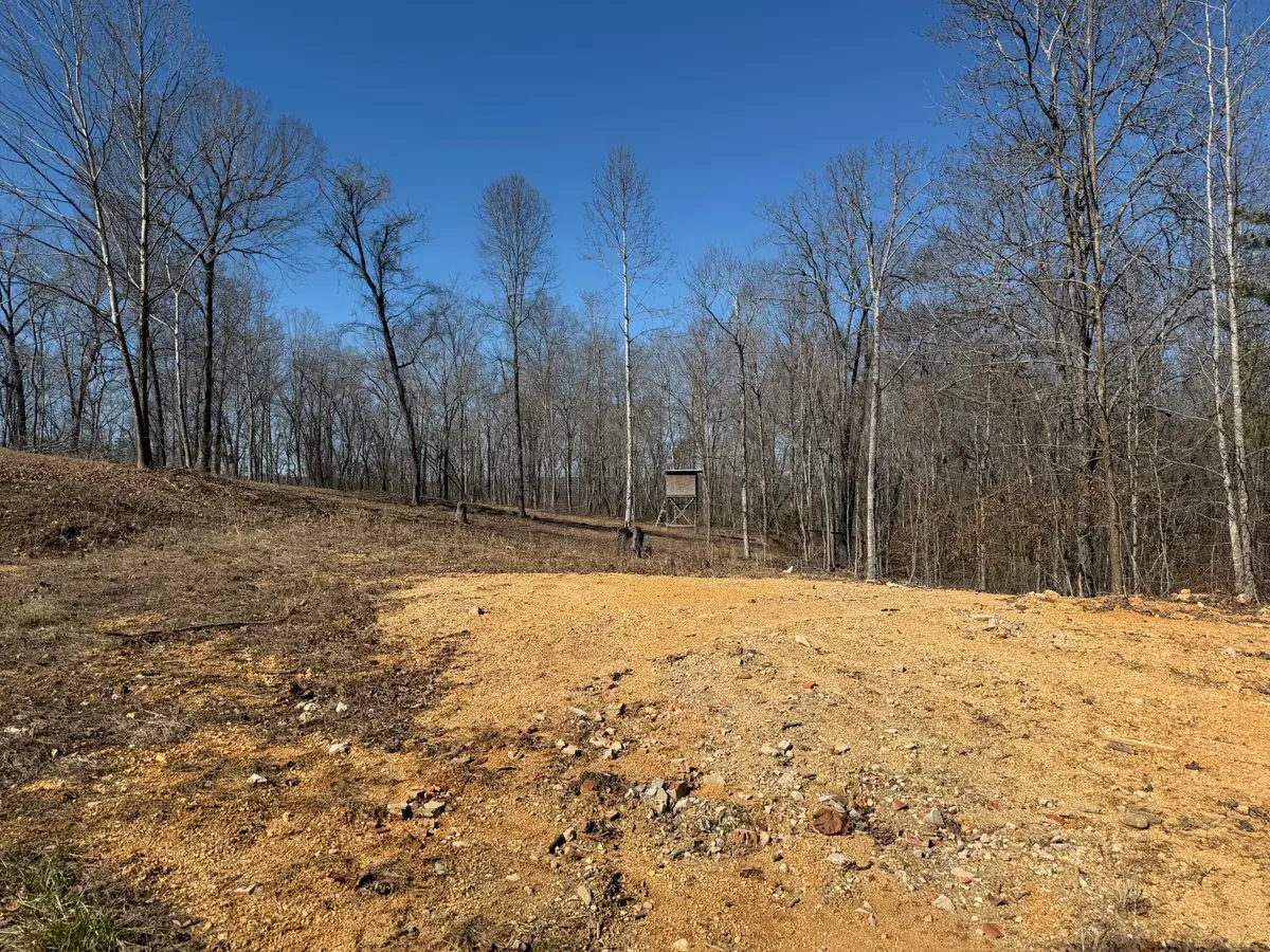 1046 Pendall Lane, Soddy Daisy, TN 37379 - #1