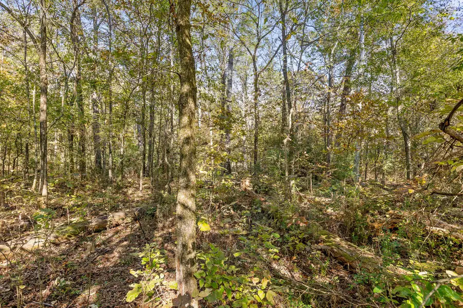 327 Starr Hawk Lane, Chickamauga, GA 30707 - #2