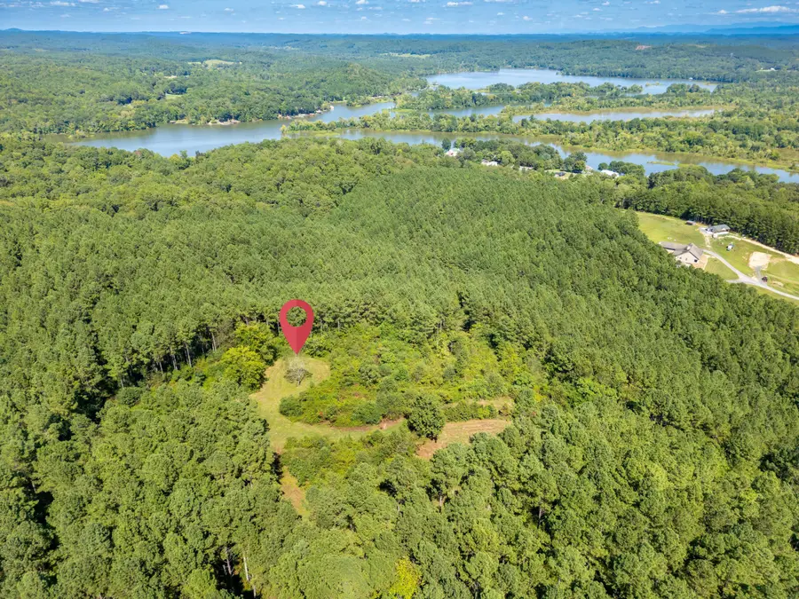 847 Eads Bluff Road Nw, Georgetown, TN 37336 - #3