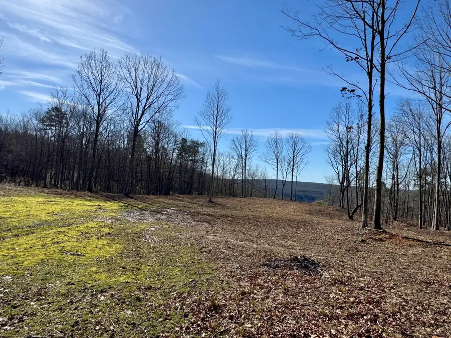 0 Hobbstown Road #Lot 7, Dunlap, TN 37327 - #3