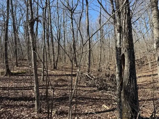 Lot 11b Shadowland Drive #11b, Graysville, TN 37338 - #3