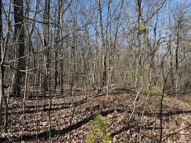 Lot 10b Shadowland Drive #10b, Graysville, TN 37338 - #3