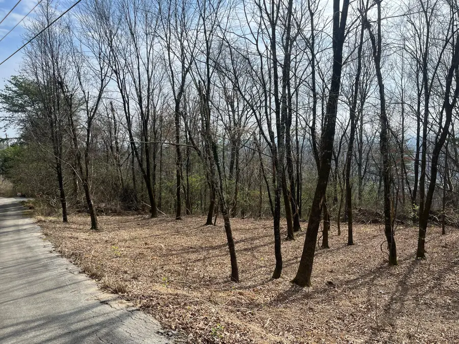 1422 Sunset Drive, Signal Mountain, TN 37377 - #2