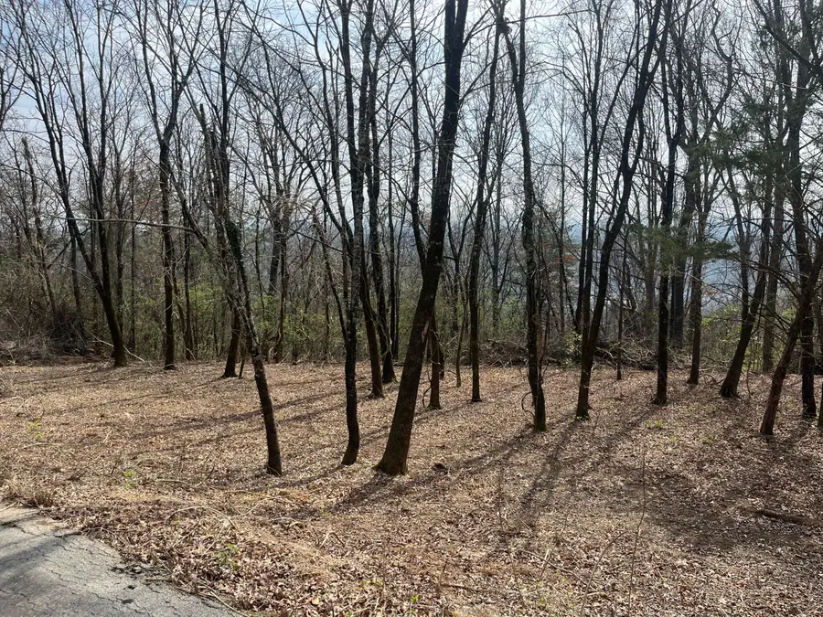 1422 Sunset Drive, Signal Mountain, TN 37377 - #3