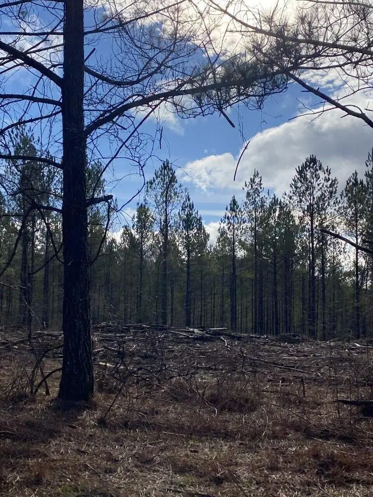 Lot 5 Thomas Springs Road #Lot 5, Crossville, TN 38572 - #1