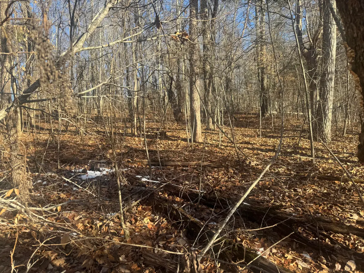 280 Chapman Road #Tract 2, Dunlap, TN 37327 - #1