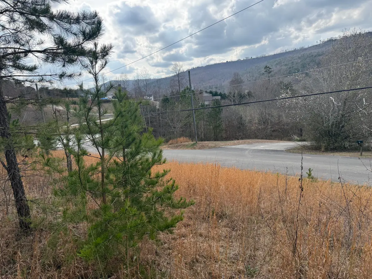 10 Tanglewood Trail, Trenton, GA 30752 - #1