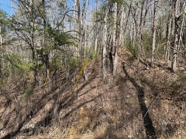 2.00 Red Rock Canyon Road #2.00, Graysville, TN 37338 - #3