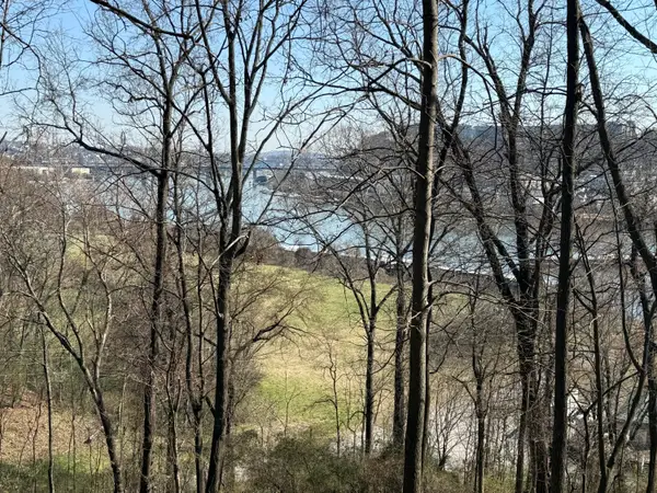 414 Dogwood Lane, Chattanooga, TN 37405