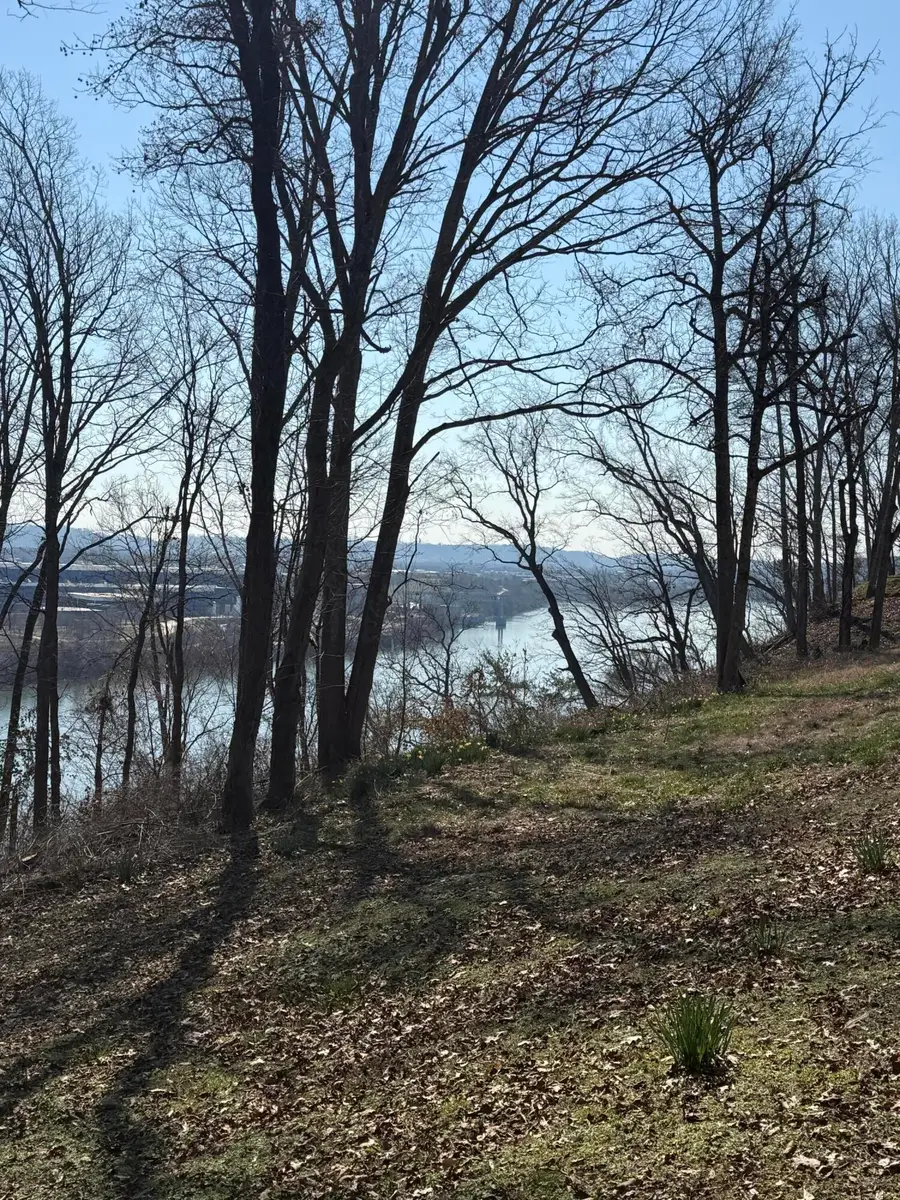 418 Dogwood Lane, Chattanooga, TN 37405 - #2