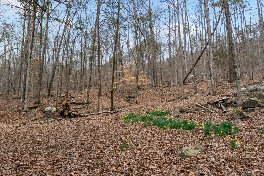 Lot 8 Raulstontown, South Pittsburg, TN 37380 - #3