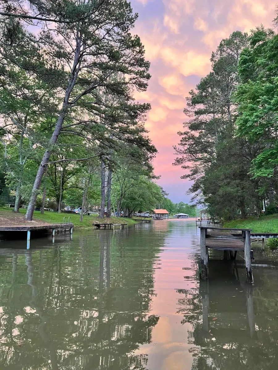 16127 Lakewood Drive, Sale Creek, TN 37373 - #2