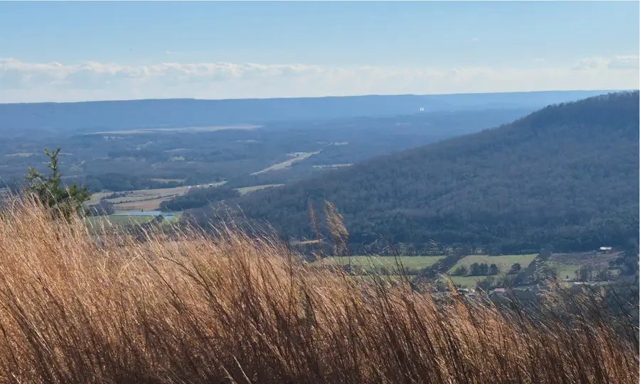 Lot 9 Lodge Point Road, South Pittsburg, TN 37380 - #2