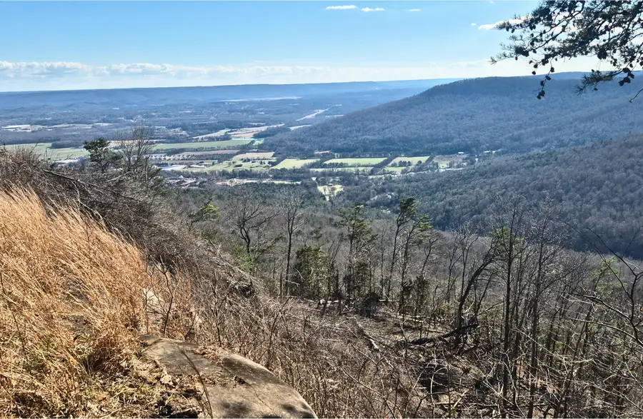 Lot 9 Lodge Point Road, South Pittsburg, TN 37380 - #3