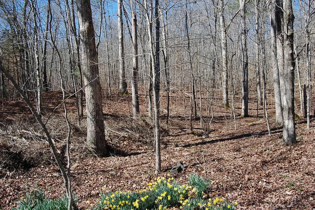 5 Pickett Cross Road, Whitwell, TN 37397 - #1