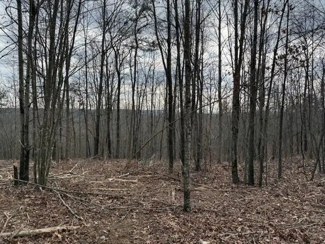 Tract 11 South Pittsburg Mountain Road #11, South Pittsburg, TN 37380 - #1